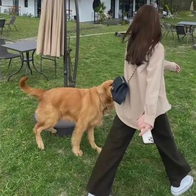 原来这就是爱啊